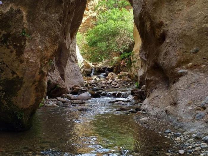 Albergue La Paz De Las Alpujarras Padules المظهر الخارجي الصورة